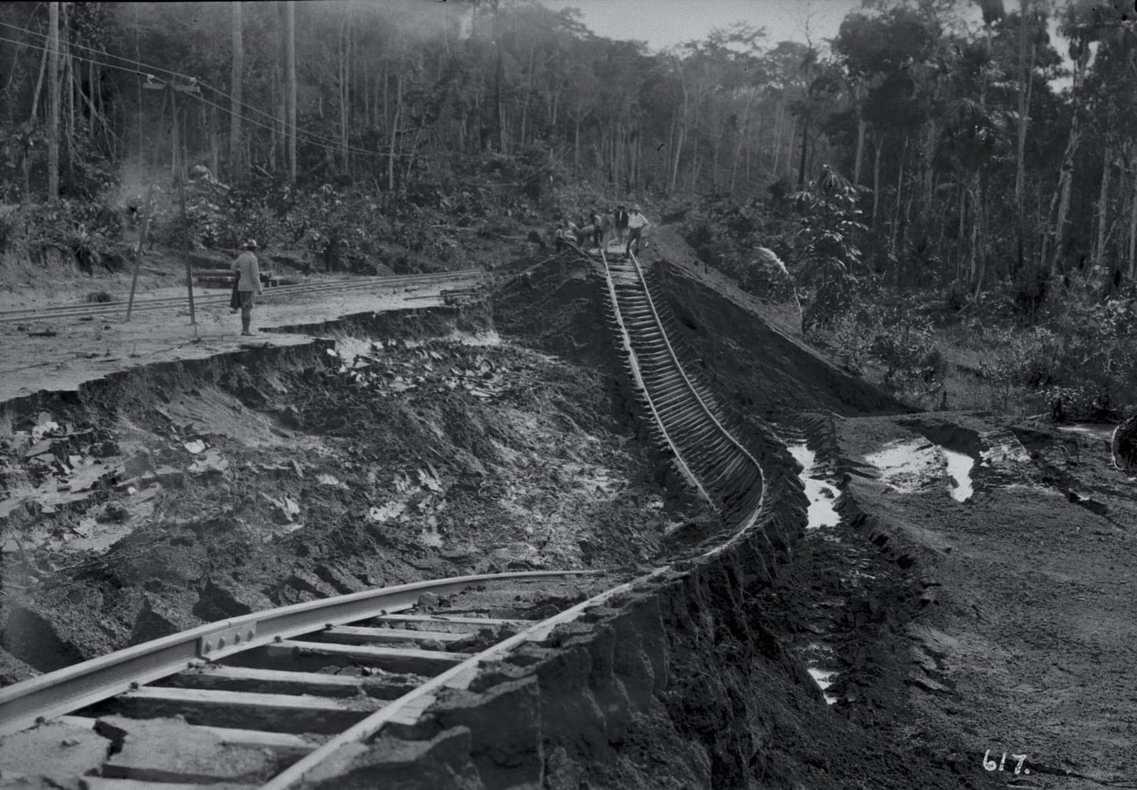 Foto antiga, em preto e branco, de um trilho de trem atravessando a mata derrubada.