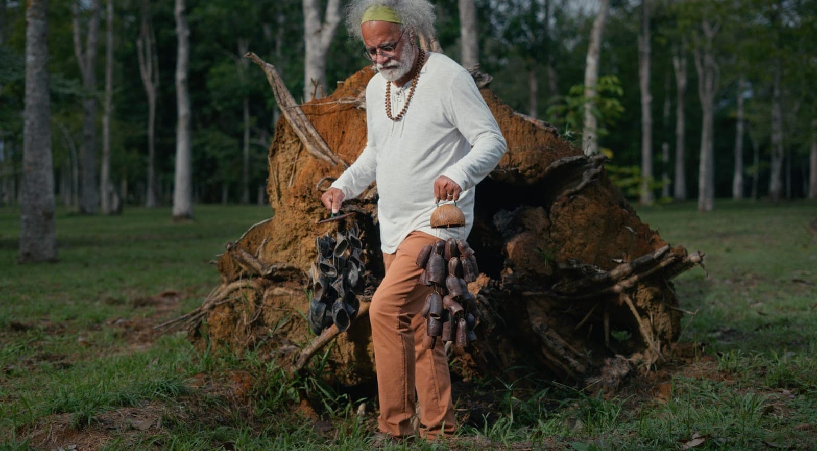 Homem de barba branca carregando instrumentos junto a uma raiz de árvore tombada, num bosque.