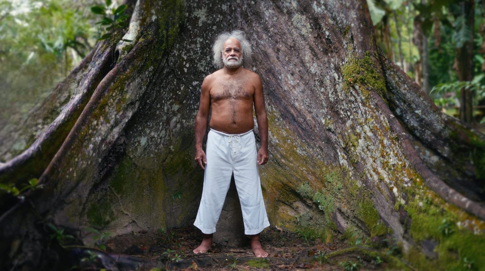 Homem de barba branca, sem camisa e de calça branca, diante do tronco de uma árvore enorme.