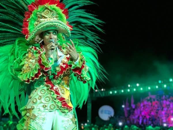 Festival dos botos Tucuxi e Cor-de-Rosa - Festa do Çairé, em Alter do Chão, no Pará